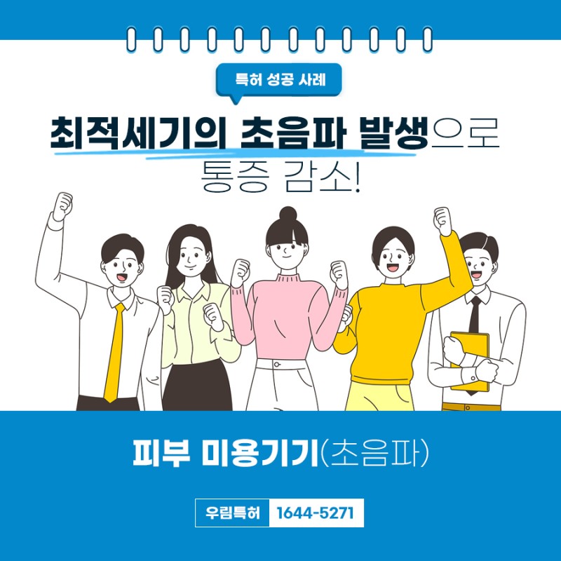 인천광역시 서구 초음파 피부 미용기기 특허 등록 성공 사례
