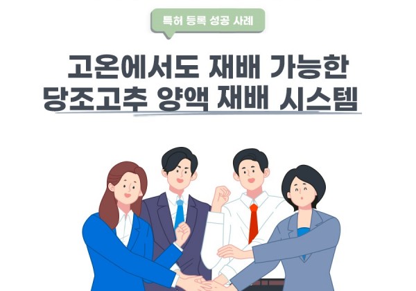 제주도 제주시의 고객님이 변리사, 특허사무소에서 출원한 당조고추 양액 재배 시스템 특허 등록 성공 사례
